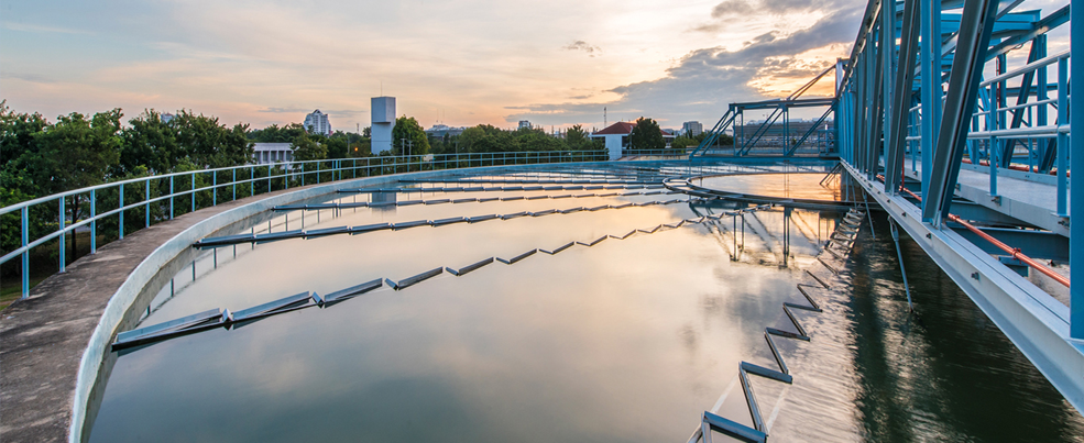 Công Ty TNHH Hóa Chất Đức Mỹ