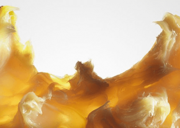 Công Ty TNHH Hóa Chất Đức Mỹ